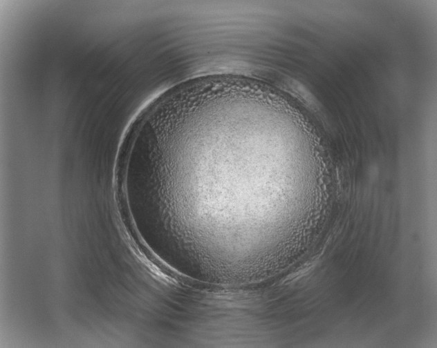 X0000068270780200604241257