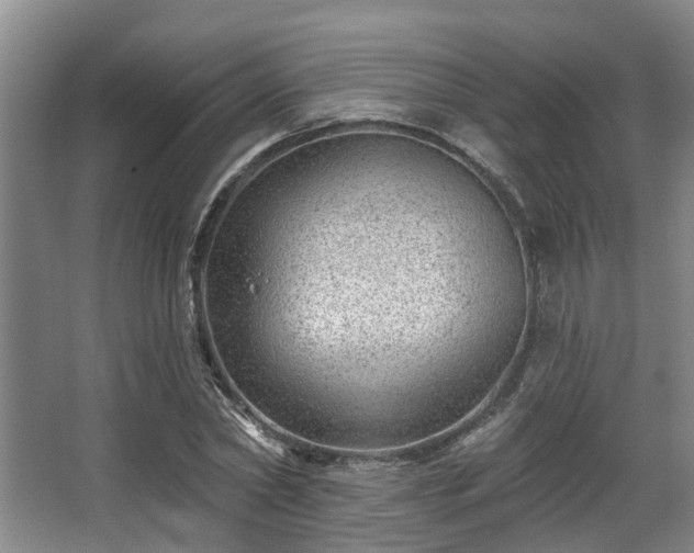 X0000068270782200604241257