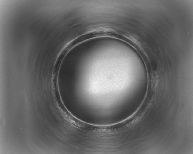 X0000068270783200604241257