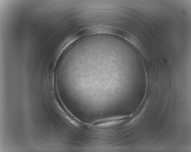 X0000068270790200604241256