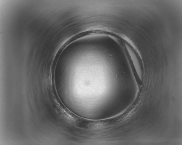 X0000068270791200604241256