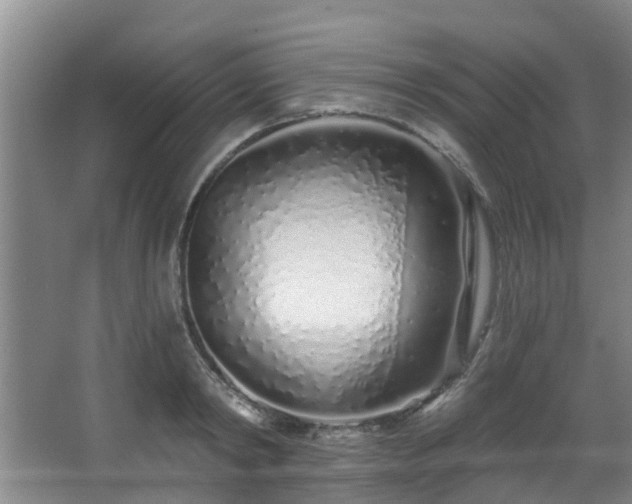 X0000068270798200604241256