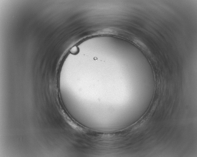 X0000068270800200604241256