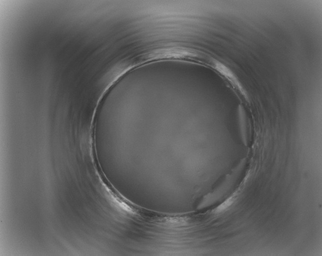 X0000068270802200604241256