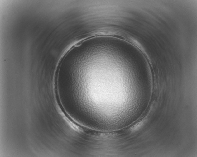 X0000068270803200604241256