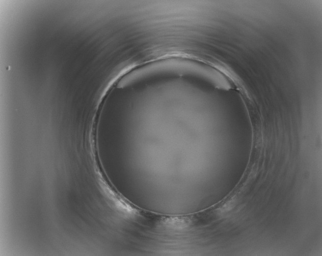 X0000068270806200604241256