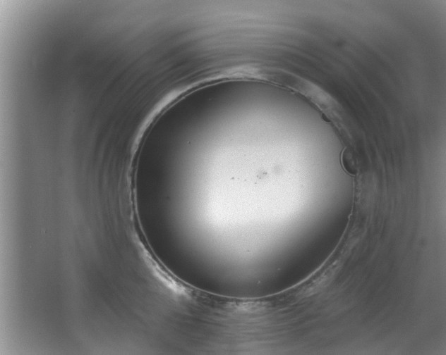 X0000068270808200604241256