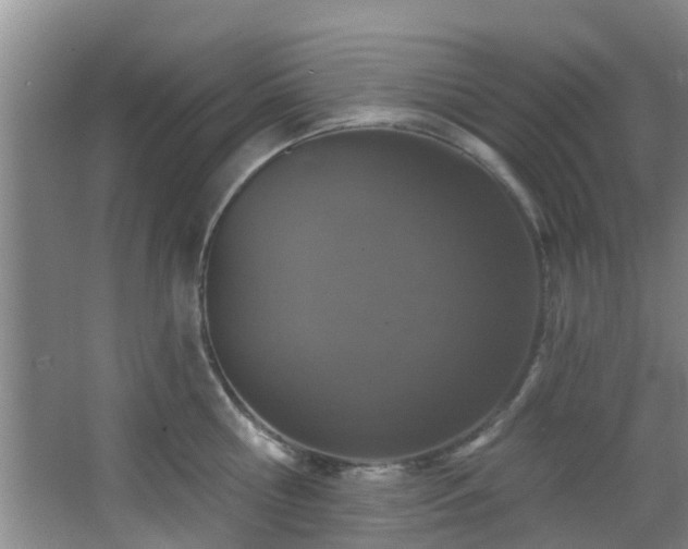 X0000068270810200604241256