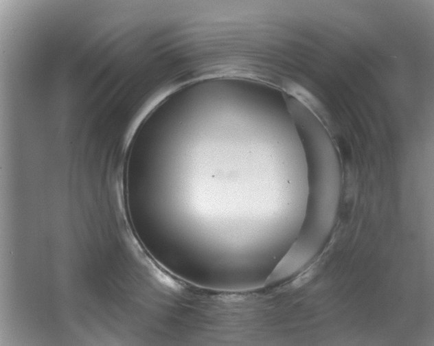 X0000068270812200604241256