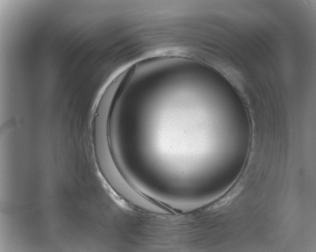 X0000068270816200604241256