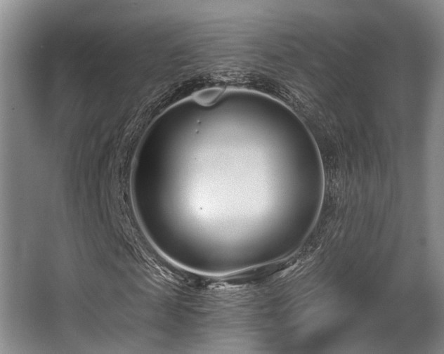 X0000068270817200604241255