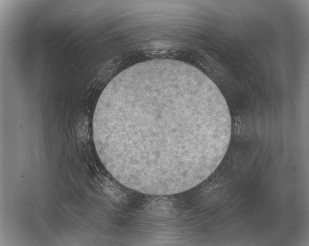 X0000068270820200604241255