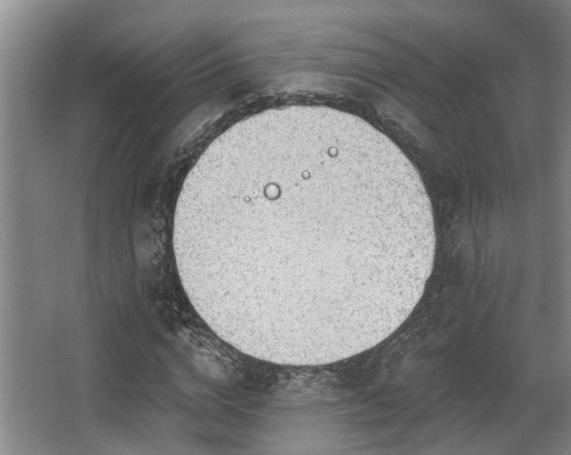 X0000068270824200604241255