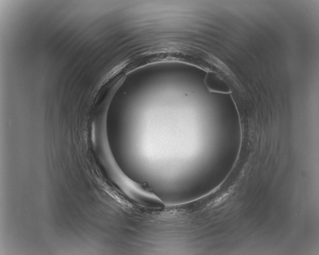 X0000068270826200604241255