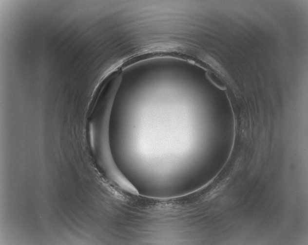 X0000068270834200604241255