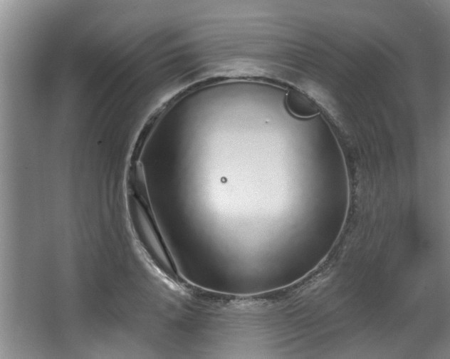 X0000068270840200604241256