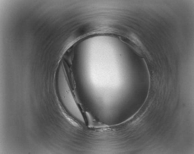 X0000068270842200604241256