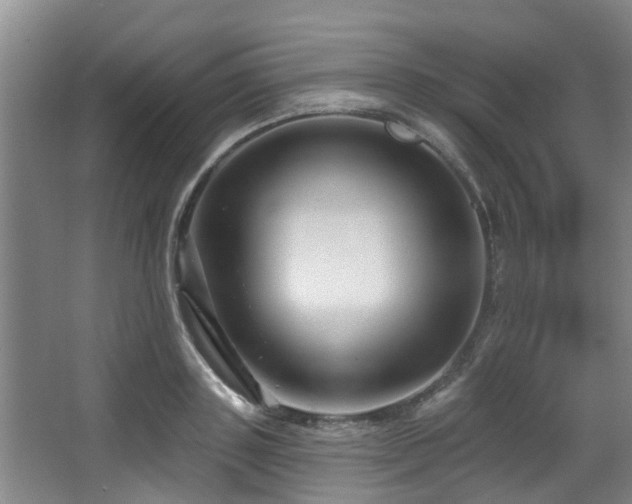 X0000068270843200604241256