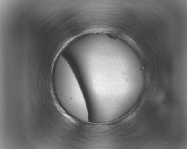 X0000068270844200604241256