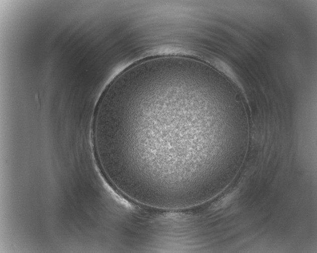 X0000068270847200604241256