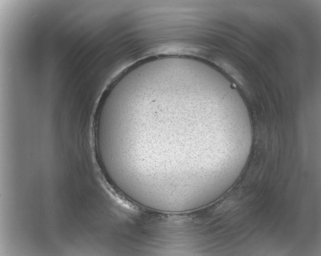 X0000068270848200604241256