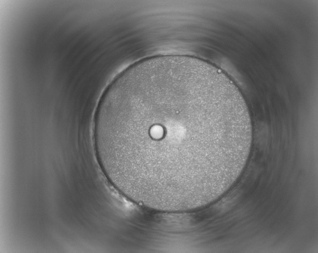 X0000068270856200604241256