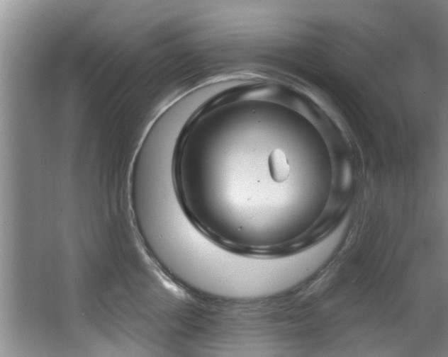 X0000068270858200604241256