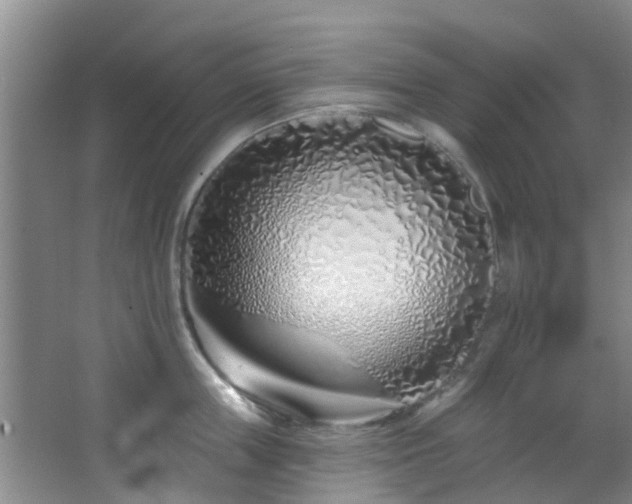 X0000068270859200604241256