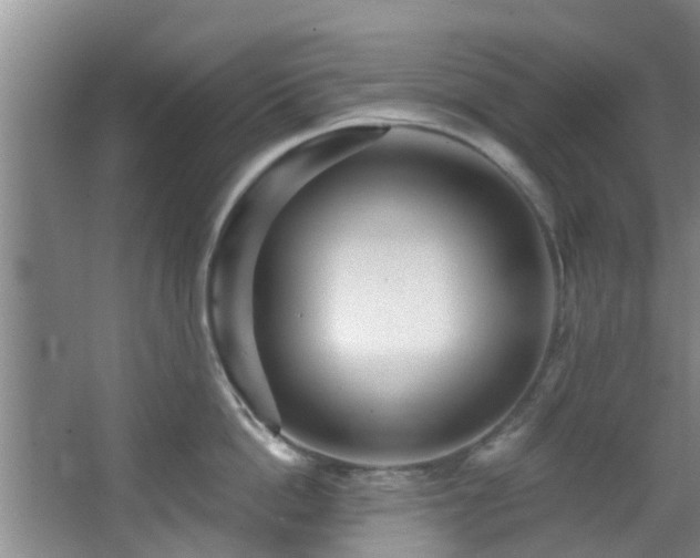 X0000068270862200604241256