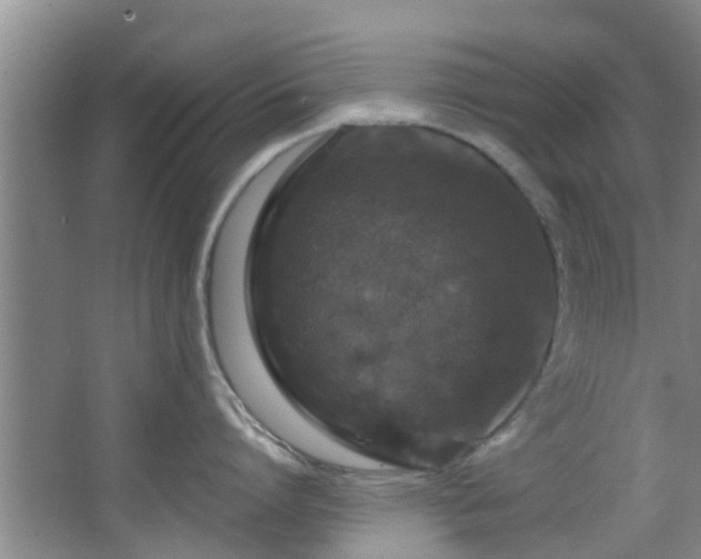 X0000068270864200604241256