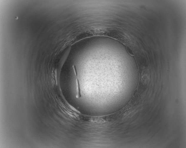 X0000068270866200604241255