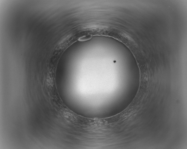 X0000068270869200604241255