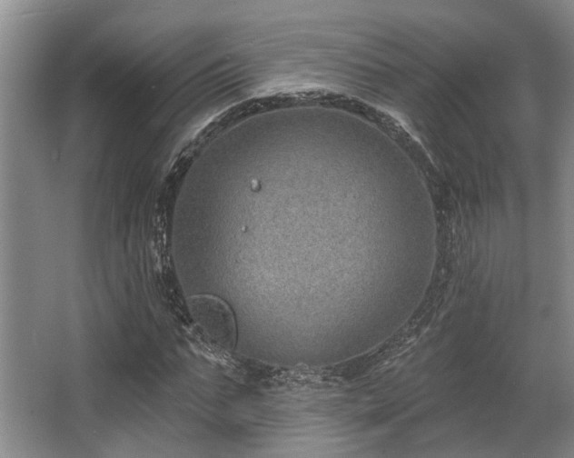 X0000068270871200604241255