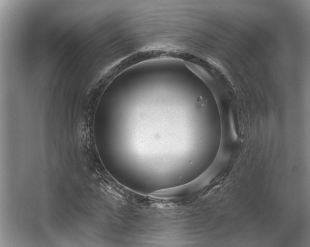 X0000068270872200604241255