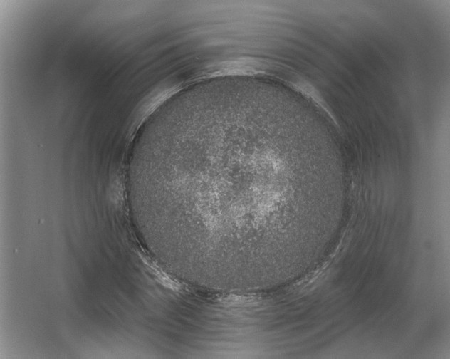 X0000068270874200604241255