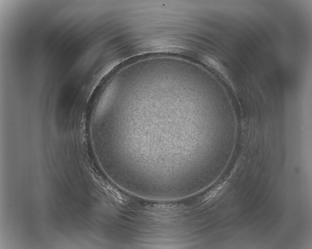 X0000068270875200604241255