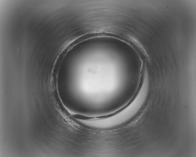 X0000068270876200604241255