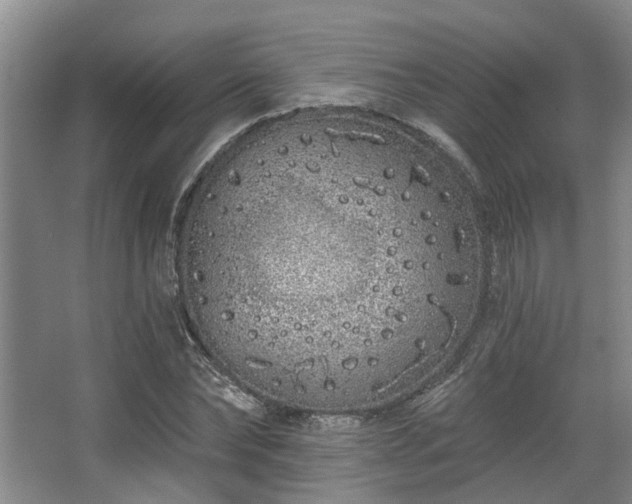 X0000068270878200604241255