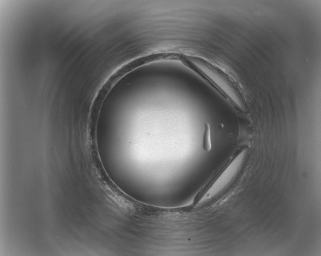 X0000068270880200604241255