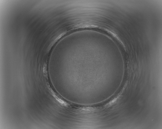 X0000068270881200604241255