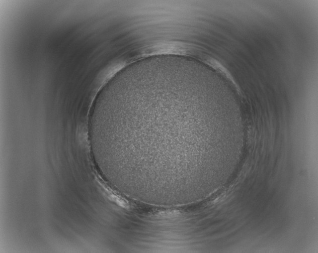 X0000068270882200604241255