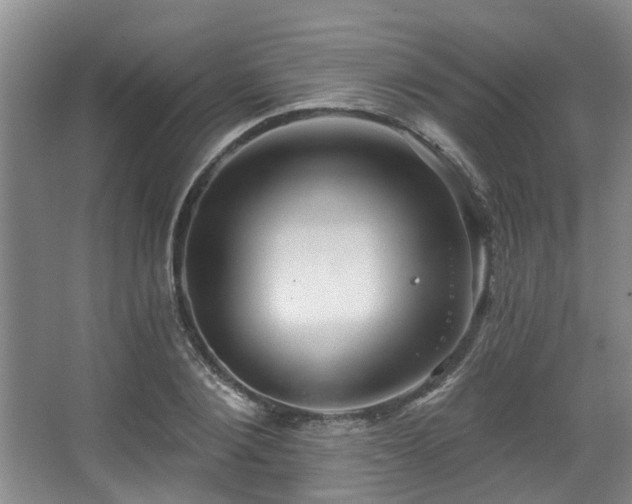 X0000068270884200604241255