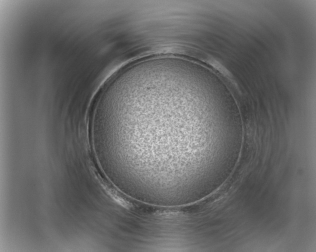 X0000068270886200604241255