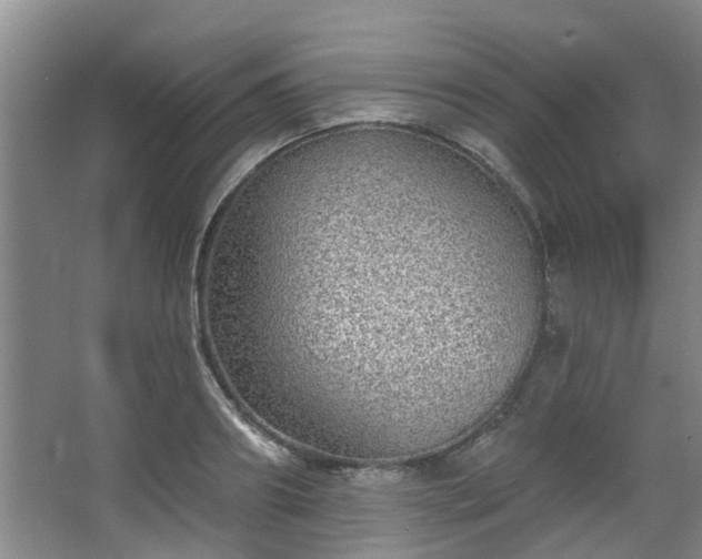 X0000068270890200604241255