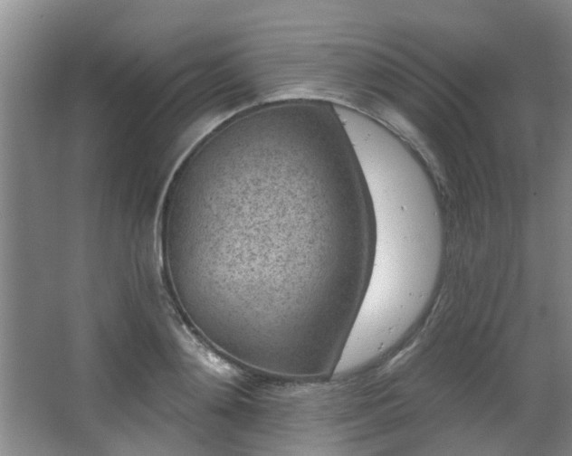 X0000068270892200604241255