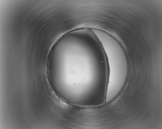 X0000068270896200604241255