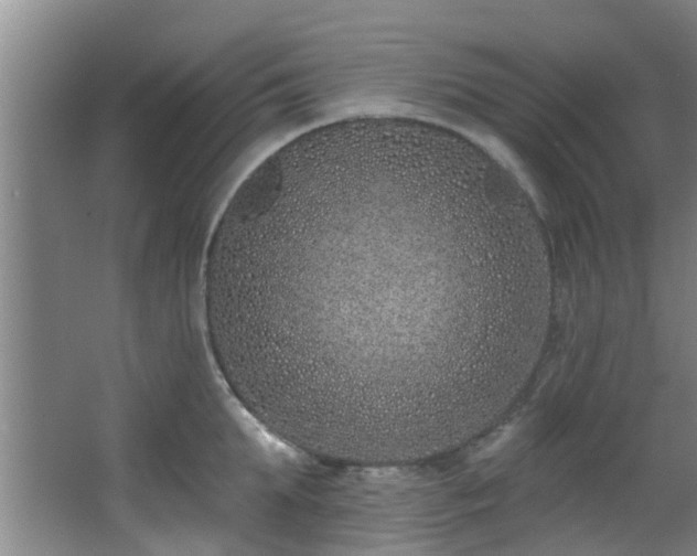 X0000068270903200604241254