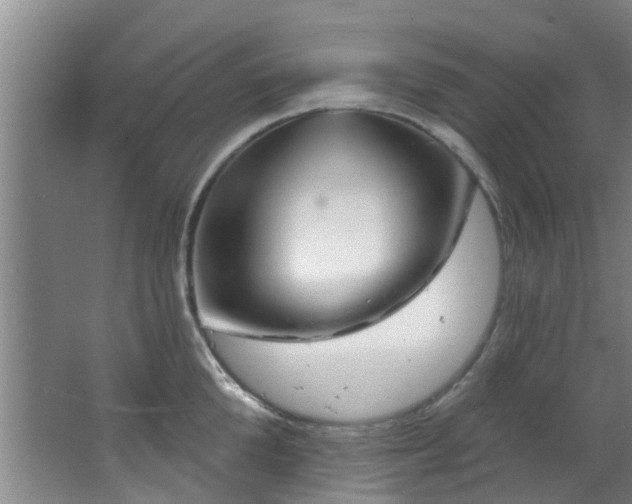 X0000068270904200604241254