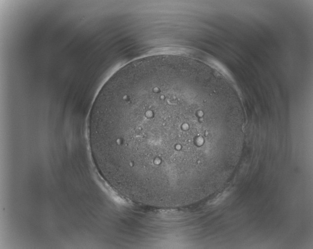 X0000068270907200604241254