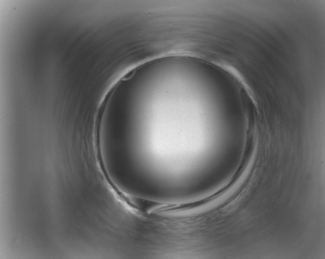 X0000068270910200604241254